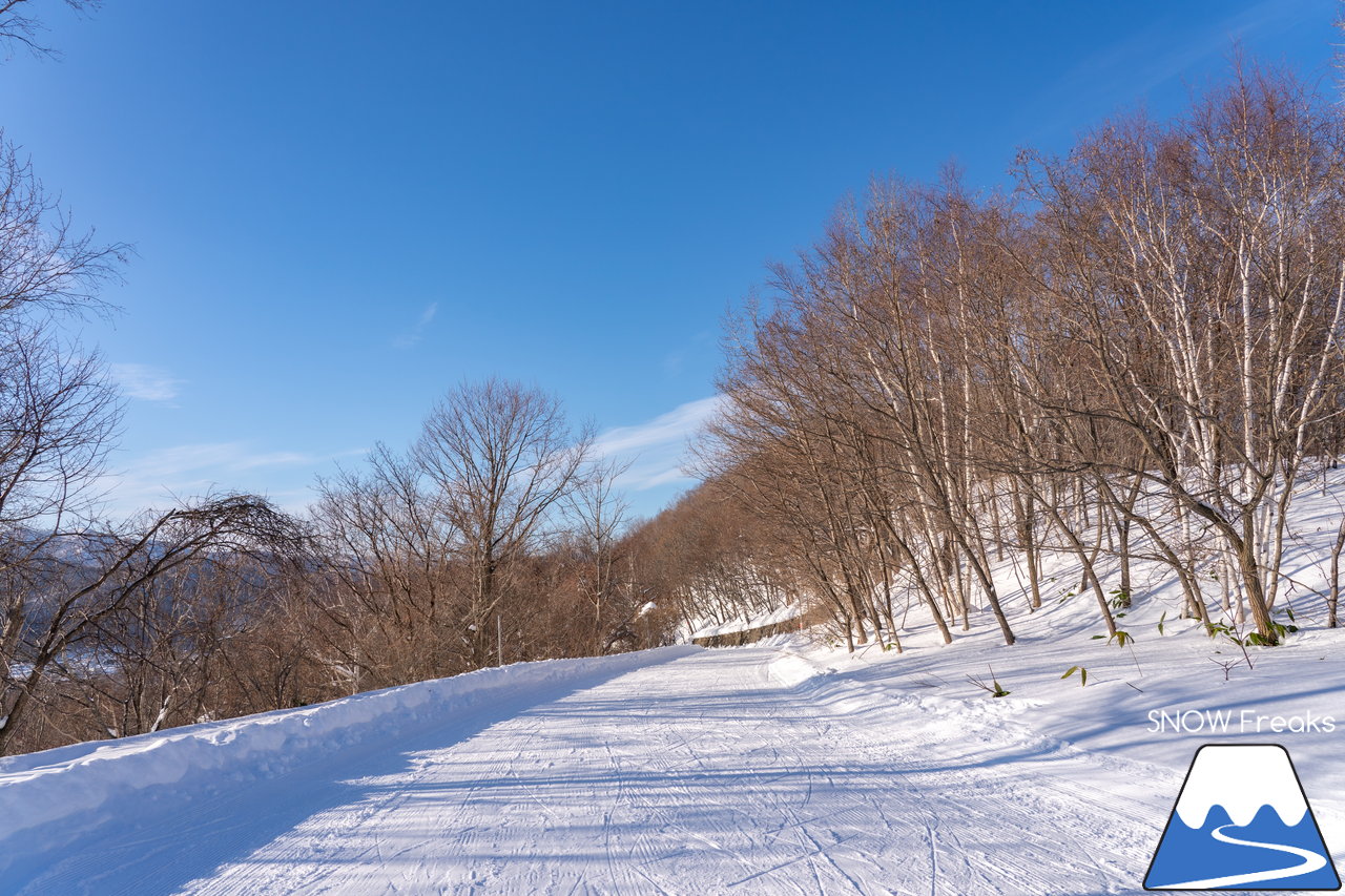 札幌藻岩山スキー場｜本日、雲一つ無い快晴！札幌藻岩山の全10コースの滑走にチャレンジ(^^)/